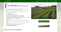 Desktop Screenshot of debolderik.net